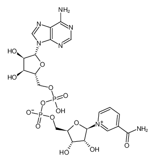 CAS：53-84-9,英文名稱：β-NICOTINAMIDE ADENINE DINUCLEOTIDE 
