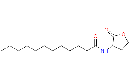CAS：137173-46-7,中文名稱：N-十二烷酰-L-高絲氨酸內(nèi)酯 英文名稱：N-Dodecanoyl-L-homoserine lactone 