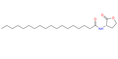 CAS：479050-96-9,英文名稱：N-[(3S)-TETRAHYDRO-2-OXO-3-FURANYL]-OCTADECANAMIDE 
