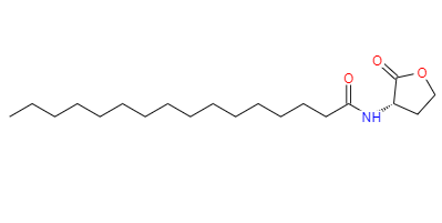 CAS：87206-01-7,英文名稱：N-hexadecanoyl-L-Homoserinelactone 