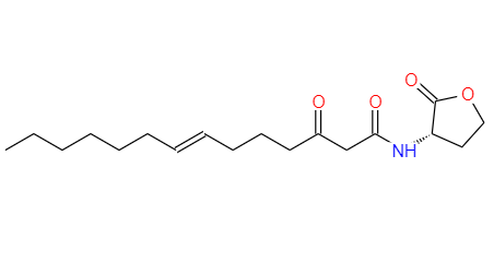 CAS：482598-46-9,英文名稱：N-3-oxo-tetradec-7(Z)-enoyl-L-Homoserine lactone 