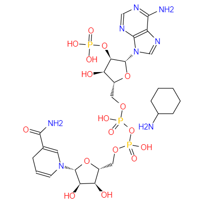 CAS： 100929-71-3，英文名稱：NADPH(tetracyclohexanamine) 