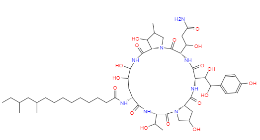 CAS： 539823-80-8，中文名稱： 紐莫康定A0 英文名稱：Pneumocandin A0 