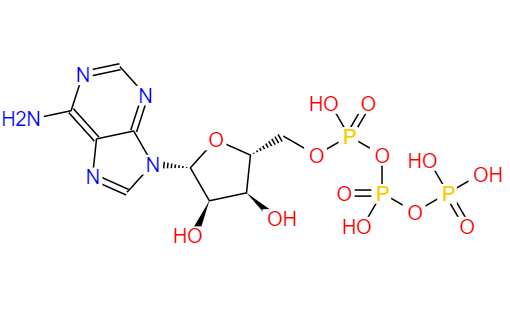 CAS： 56-65-5，中文名稱： 三磷酸腺苷 英文名稱：Adenosine triphosphate 
