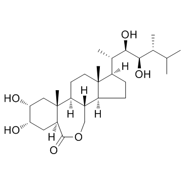 CAS： 78821-43-9，中文名稱： 24-表油菜素內(nèi)酯 英文名稱：24-Epicastasterone 