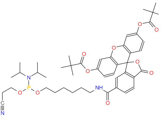 CAS： 204697-37-0，中文名稱： 5'-熒光素氨基磷酸酯 (6-FAM) 英文名稱：5'(6)-FAM; 5'-Fluorescein Phosphoramidite 