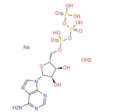 CAS： 34369-07-8，中文名稱(chēng)： 腺苷-5′-三磷酸二鈉鹽，（無(wú)鈣） 英文名稱(chēng)：5'-ATP-Na2 