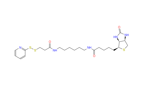  CAS： 129179-83-5，中文名稱： N-(6-[生物素胺]己基)-3’-(2’-吡啶二硫)丙酰胺 英文名稱：Biotin HPDP