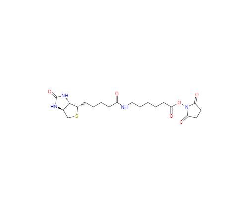  CAS： 72040-63-2，中文名稱： 生物素化-epsilon-氨基己酸-N-羥基丁二酰亞胺活化酯 英文名稱：Succinimidyl 6-(biotinamido)hexanoate