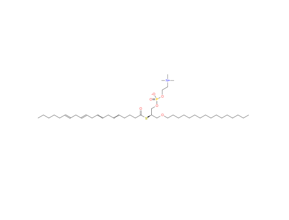 CAS： 146797-82-2，英文名稱：Arachidonoyl Thio-PC 