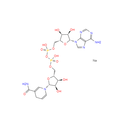 CAS： 606-68-8， Beta-煙酰胺腺嘌呤二核苷二鈉