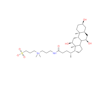 CAS：75621-03-3，3-[3-(膽酰胺丙基)二甲氨基]丙磺酸內鹽