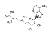 CAS：58944-73-3，西奈芬凈 