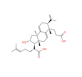 CAS：137551-39-4，茯苓酸B