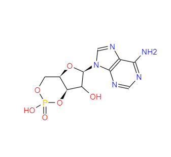 CAS：60-92-4，環(huán)磷酸腺苷 