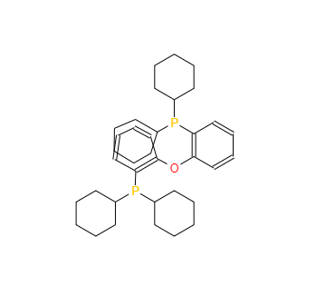 CAS：434336-16-0，雙(二環(huán)己基膦基苯基)醚