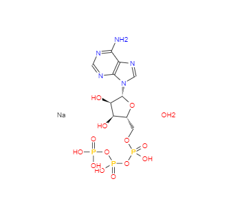 CAS：34369-07-8，腺苷-5'-三磷酸二鈉鹽,水合物 