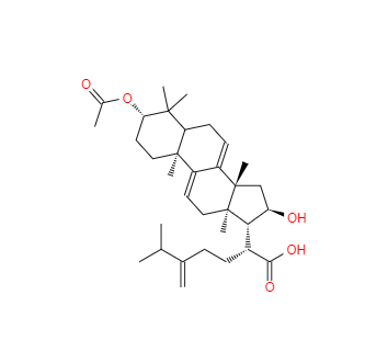 CAS：77012-31-8，去氫茯苓酸 