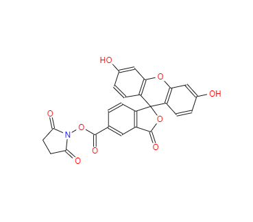 CAS：92557-80-7，5-羧基熒光素琥珀酰亞胺酯 