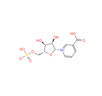 CAS：321-02-8，煙酸單核苷酸 
