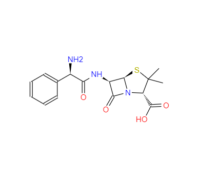 CAS： 69-53-4， 氨芐西林