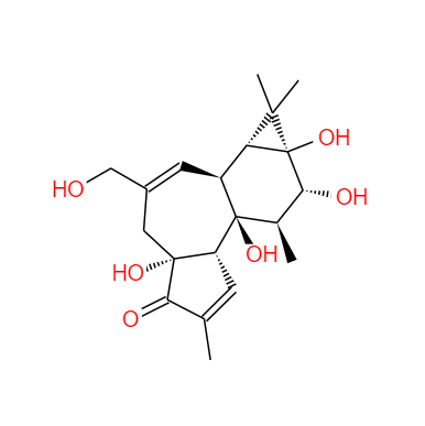 CAS：17673-25-5，佛波醇